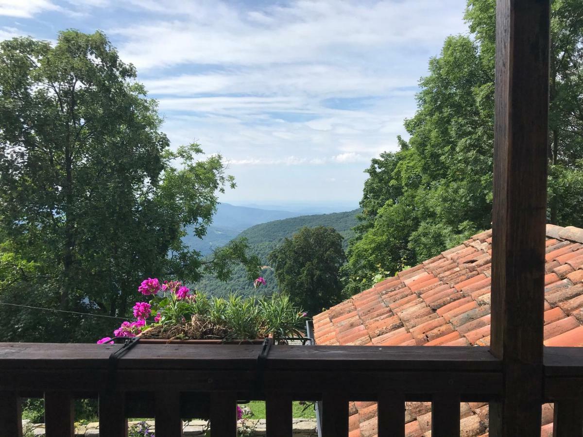 Agriturismo Bozica Villa Montemaggiore  Luaran gambar